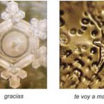 _masaru_emoto-729078