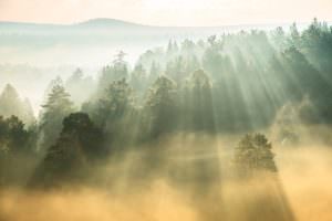 schönheit Nebel